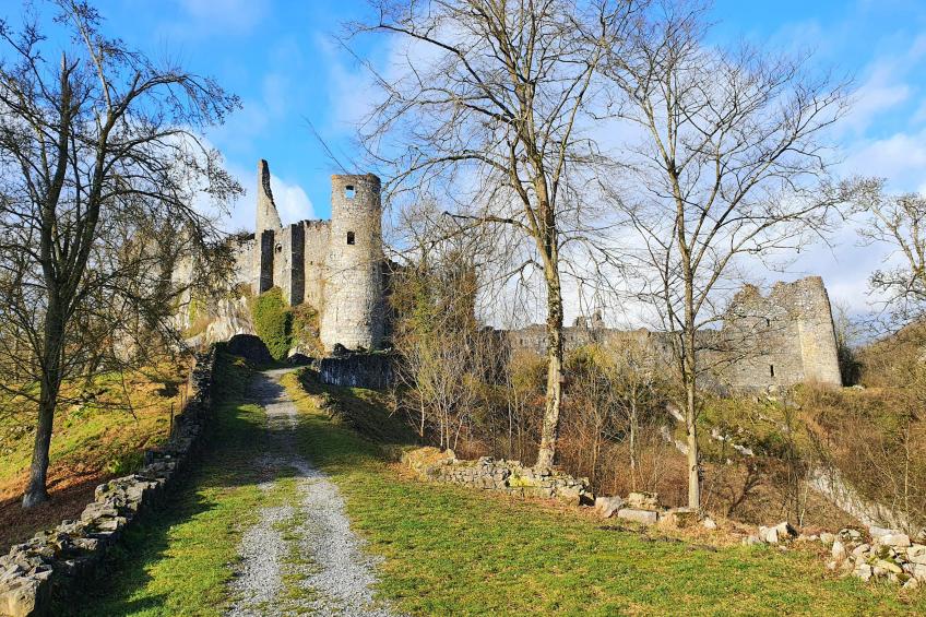 Gite de Montaigle - foto 37