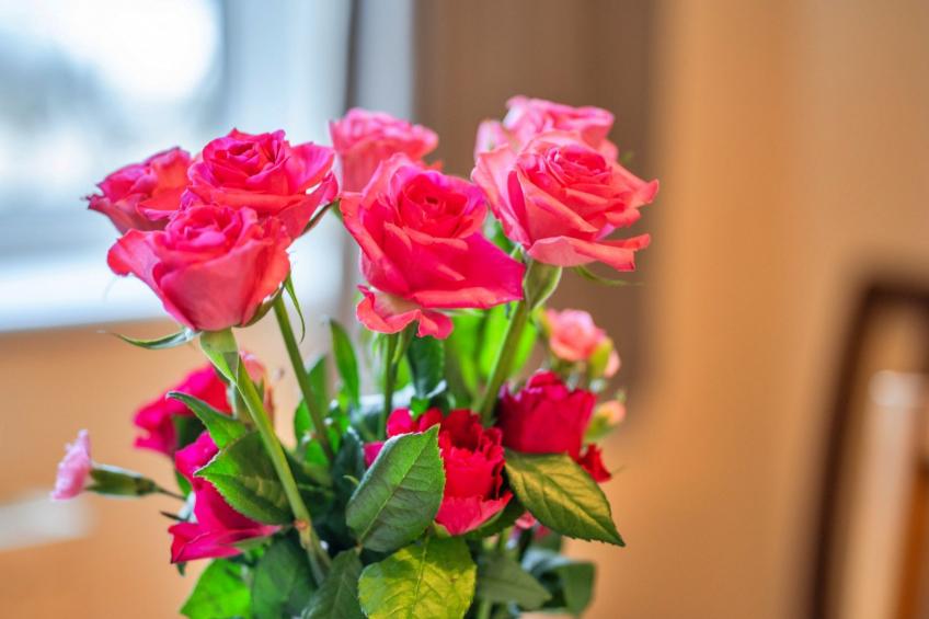 No.1 Gladys' Orchard - foto 8