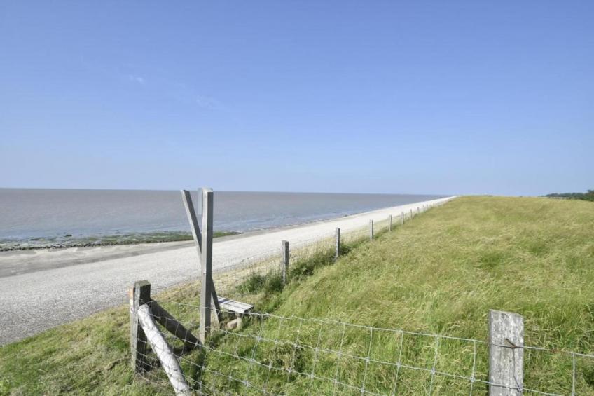 Recreatiepark Wiringherlant - Wiringher Villa 17 - foto 33