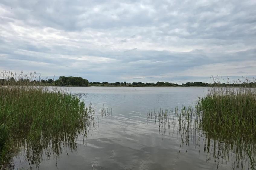 Am Gänsegarten - XL - foto 36