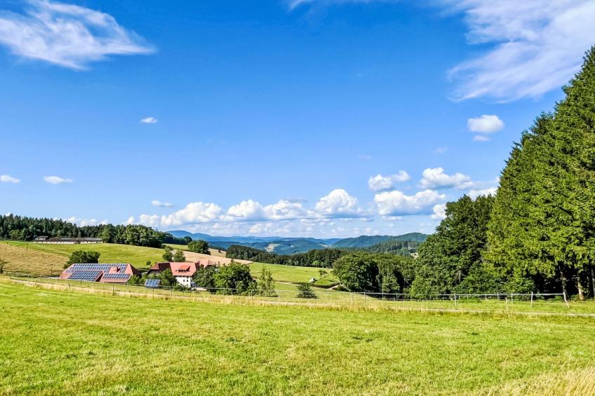 Haus am Bächle (HFT100) - foto 34