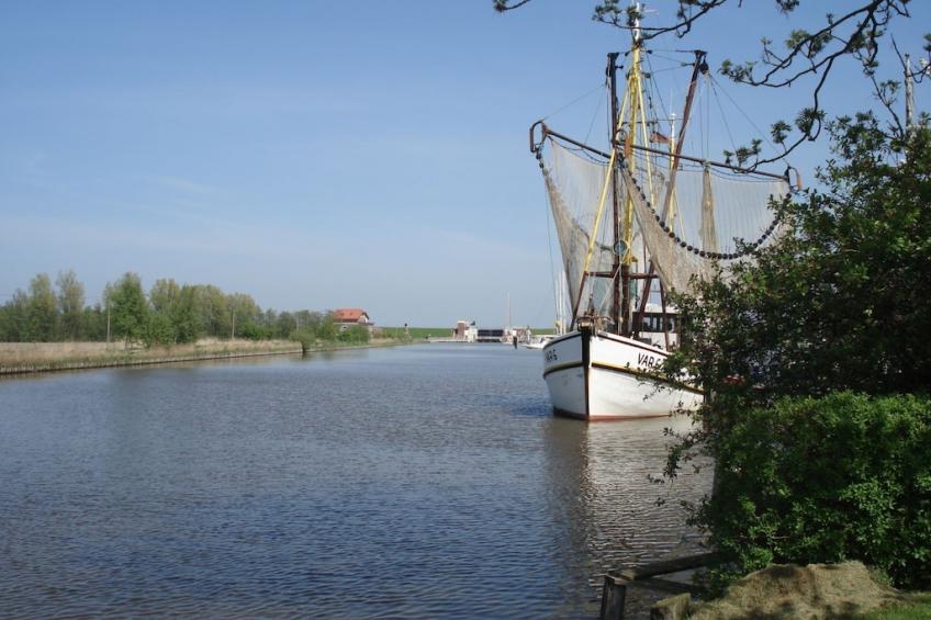 84254 - foto 17