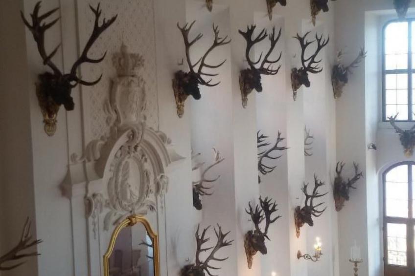 Ferienwohznung Huhle - foto 23