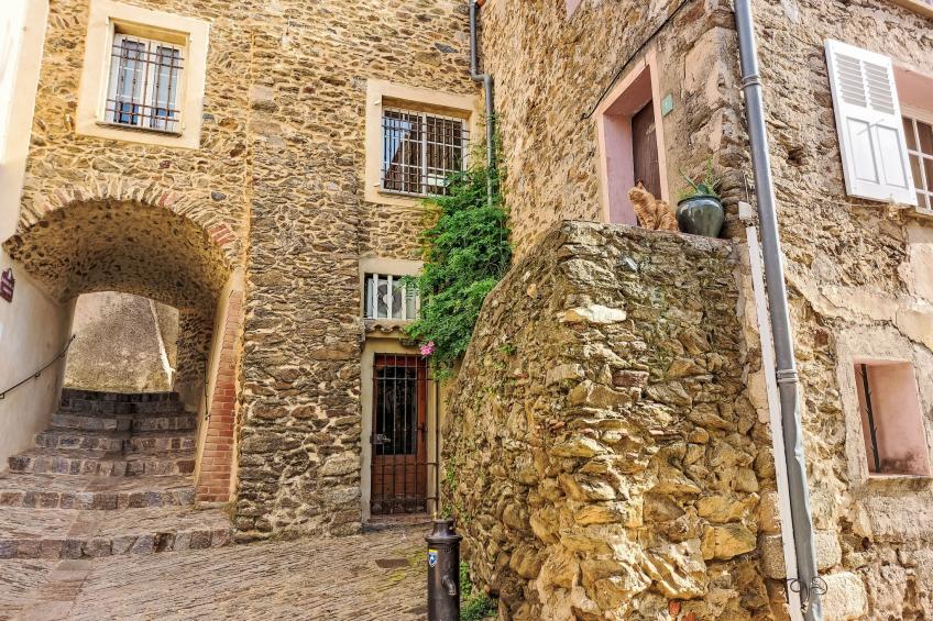 Parc Oasis - foto 25