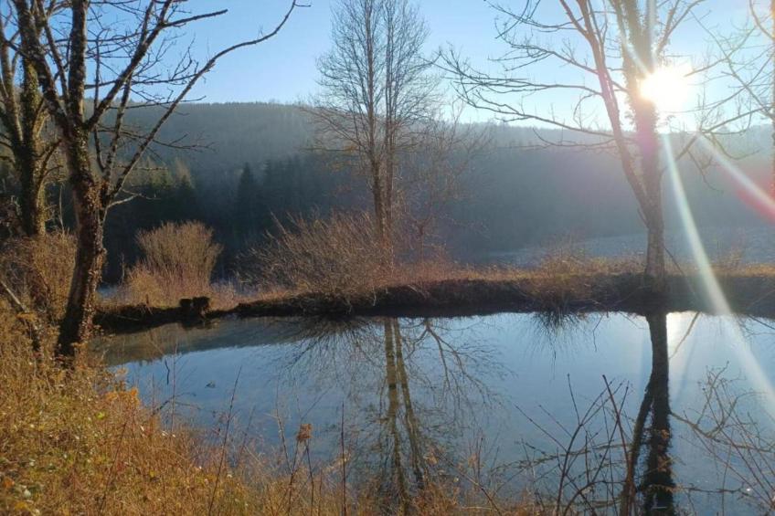 Chalet - ABBÉVILLERS - foto 38