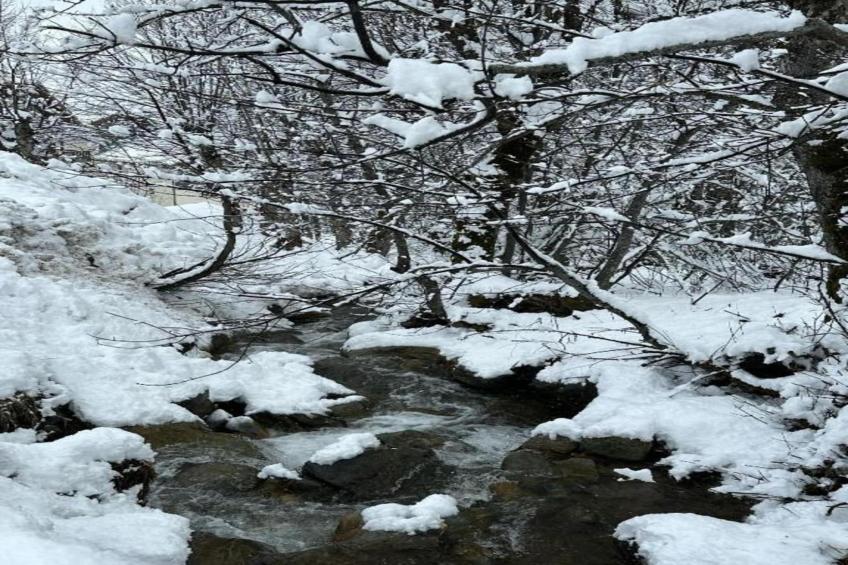 Residence Les Sybelles - foto 22