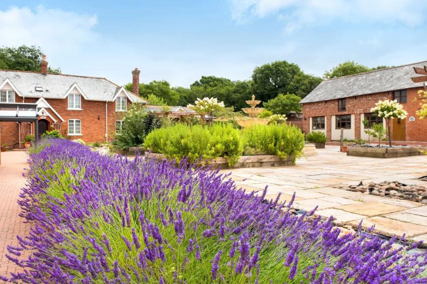 Ivy Cottage, Great Houndbeare Farm - foto 11