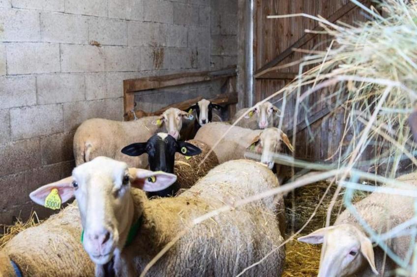 Gîte de France Gîte de la grangette 5/6 personnes 3 épis - foto 40