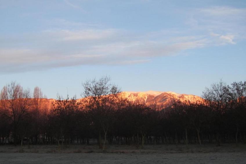 Le Do None Tre - foto 15