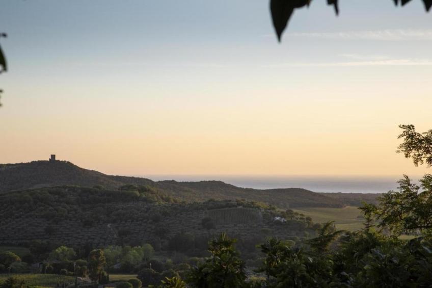 Castagneto1 - foto 33