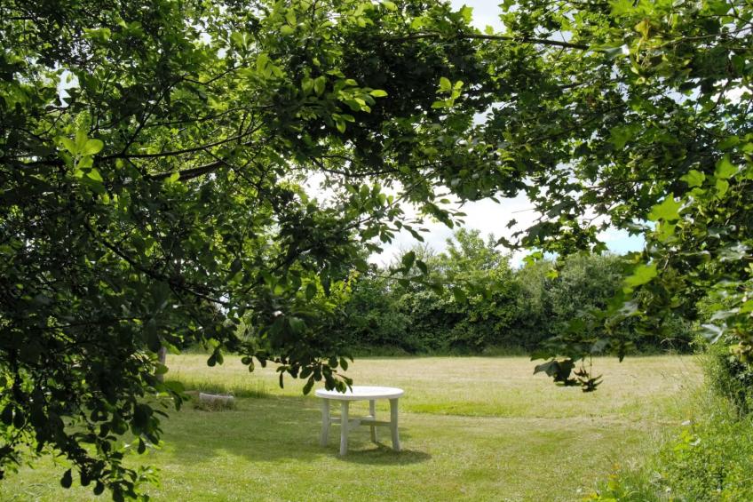 Idyllisches Reetdachhaus mit großem Garten - foto 27