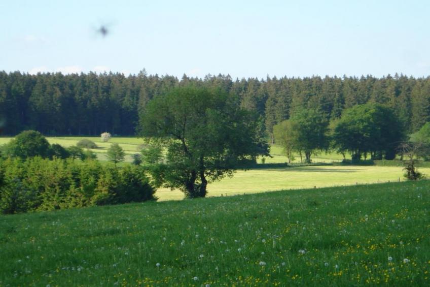 La Fausse Epine - foto 38