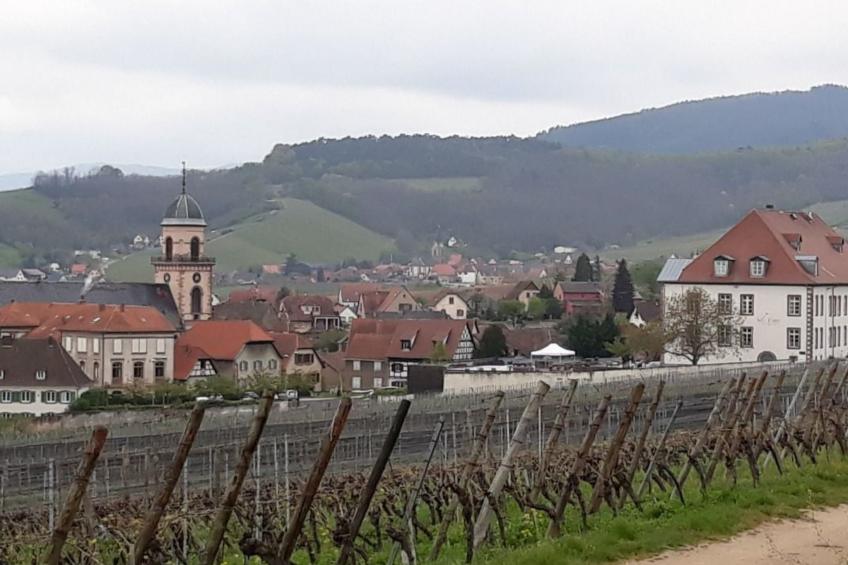 "Gite du forgeron" (Schmiedehaus) - foto 21