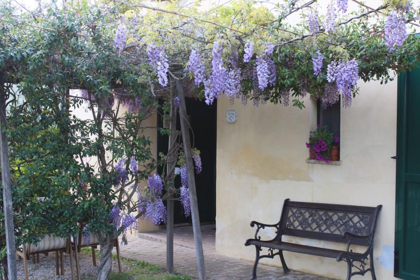 Wohnung im Agrotourismus in Bevagna - foto 10