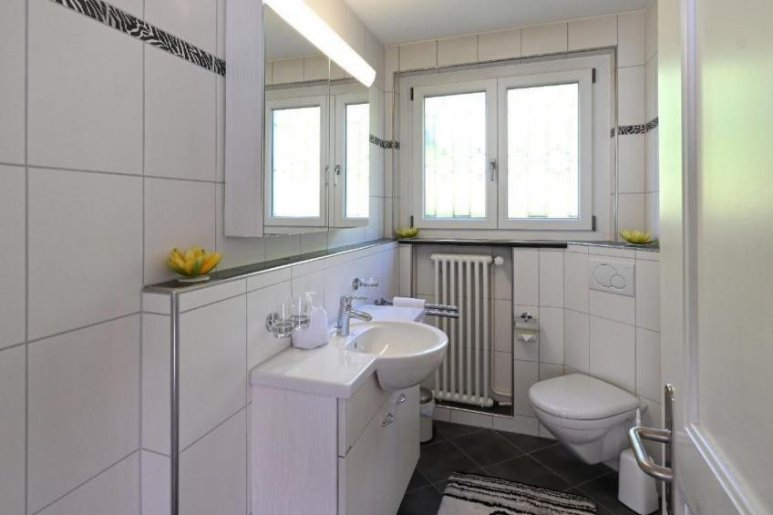 Haus Stirnemann/ Wohnung H-3 - foto 10