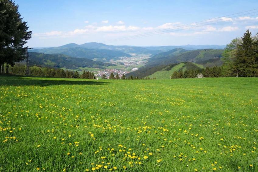 Panoramablick - foto 34