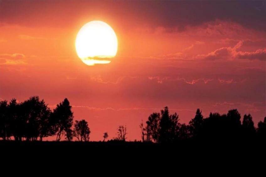 Ferienhaus Anna - foto 33