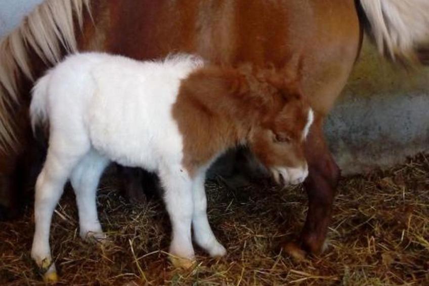 Fabelhafter Pool in einer atemberaubenden Landschaft - foto 49