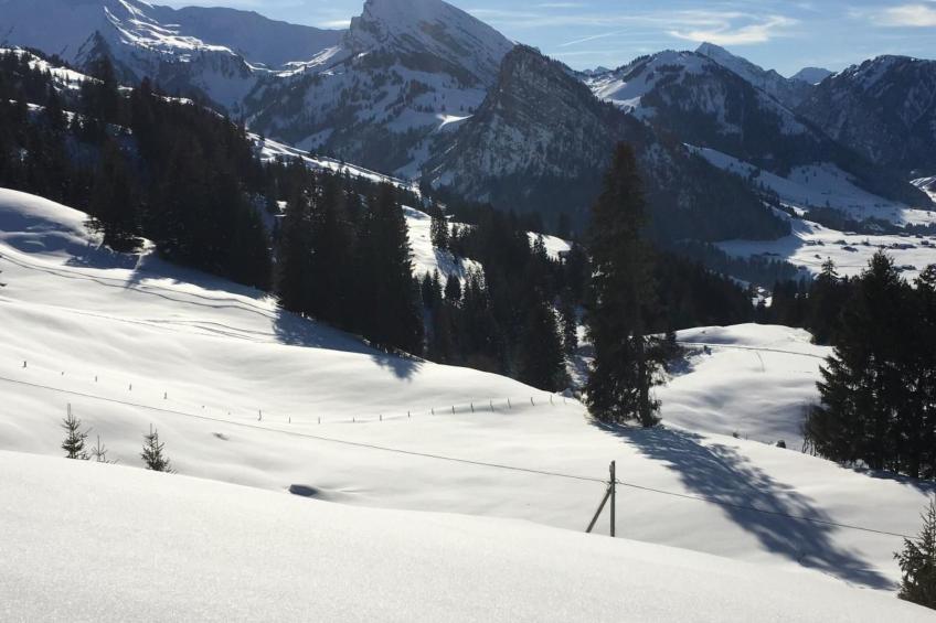 Fewo mit Herz - foto 44