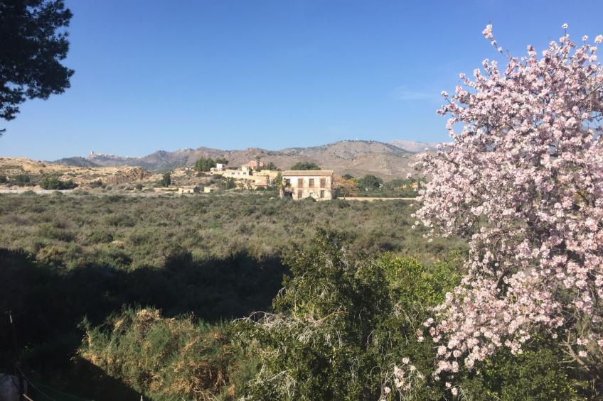 Casa Montana in Küstennähe... sehr empfehlenswert. - foto 34