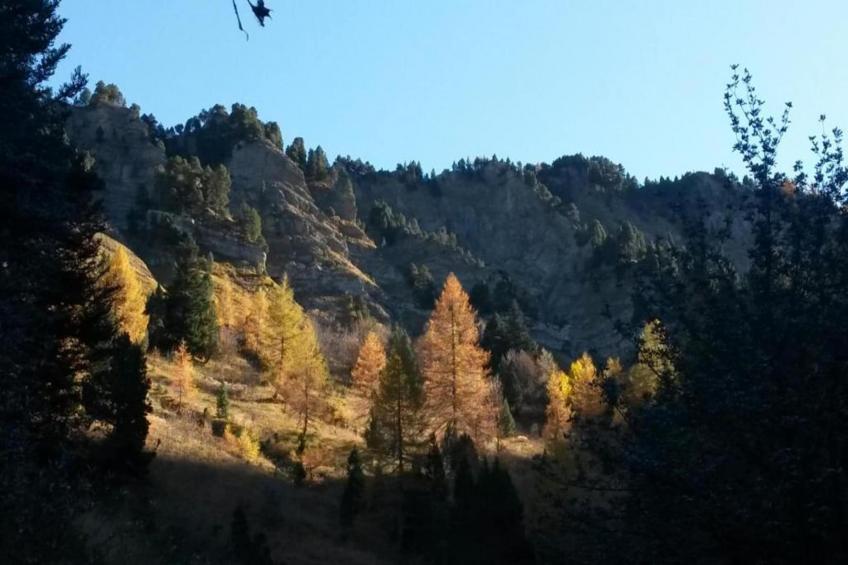 Les Gentianes - foto 26