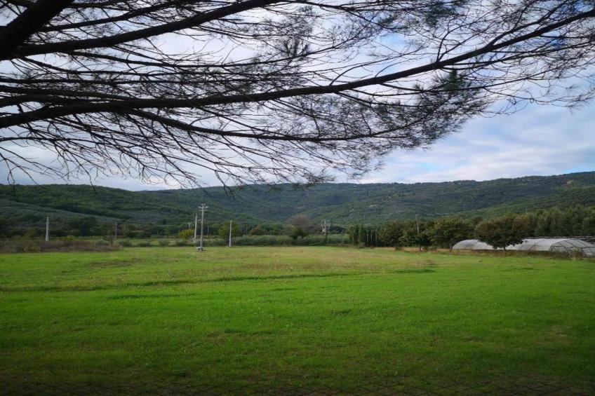 La Casa del Nonno - foto 31