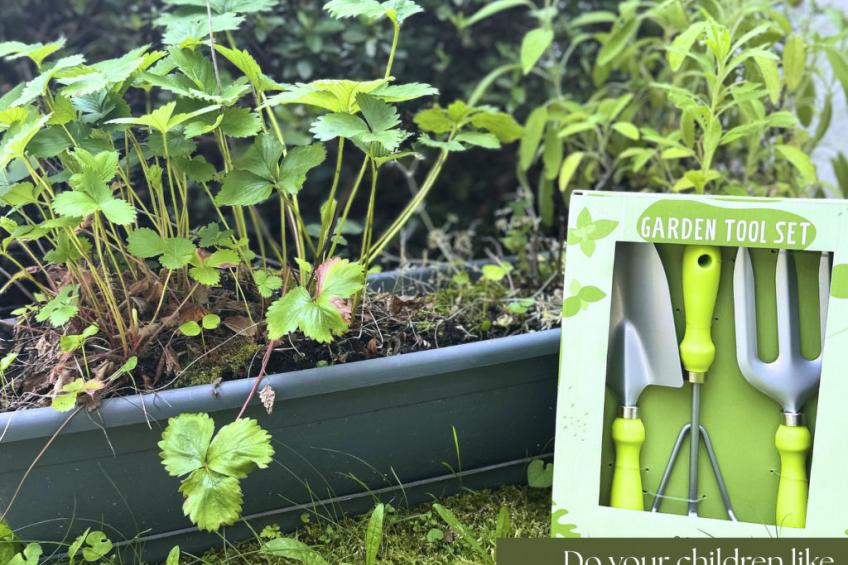 appartamento vacanze "Luxus-Wohnung" - foto 22