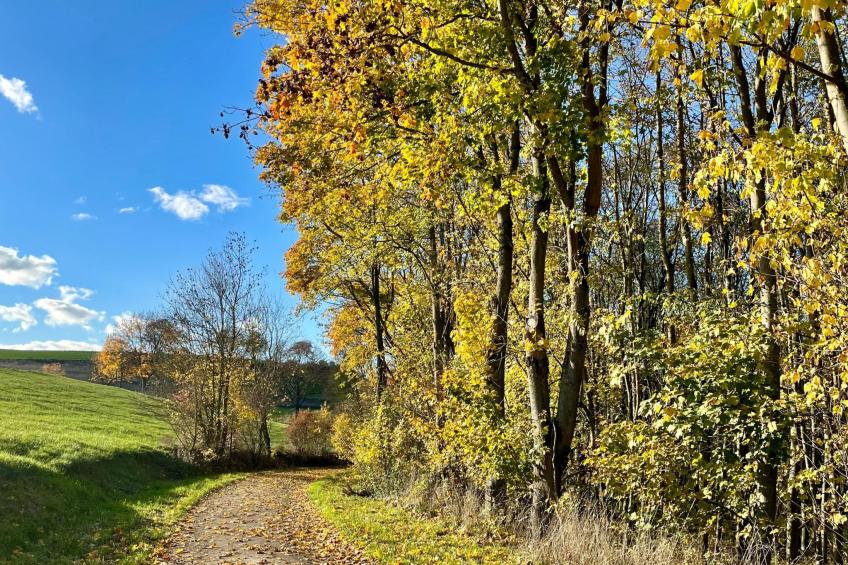 Nassauer Forsthaus - foto 35