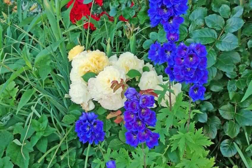 Ferien-Apartment - foto 16