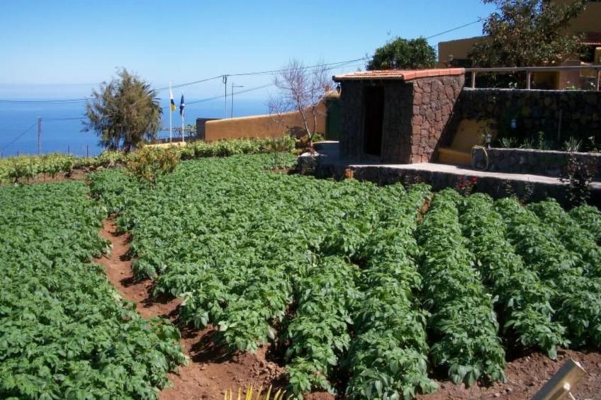 Typisches, renoviertes kanarisches Landhaus - foto 21