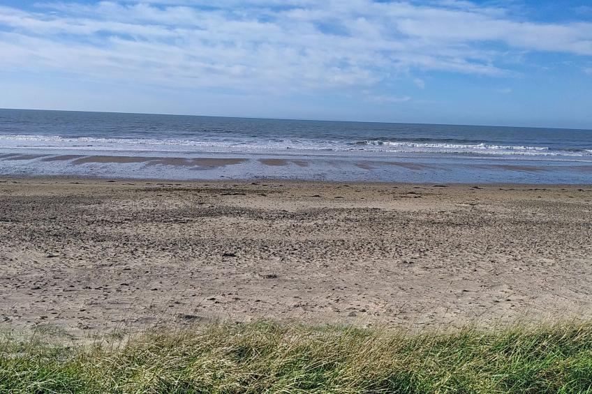 l'Escale dunes, Strände 20 Meter entfernt, Meerblick - foto 56