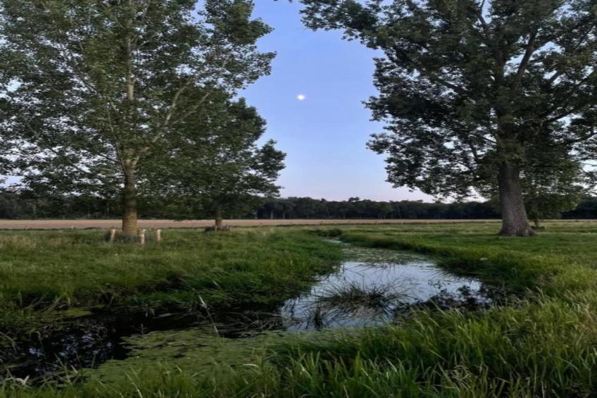 Buitenhof De Leistert - foto 40