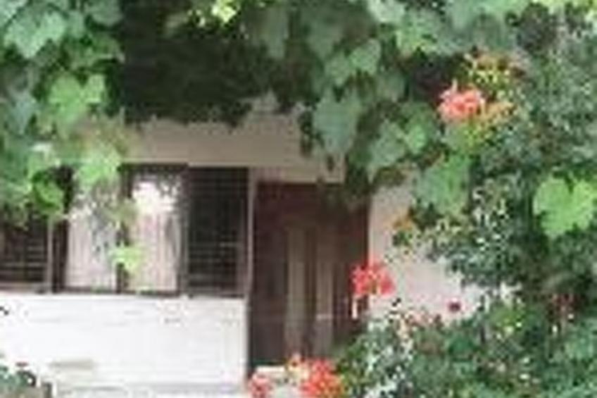 Appartement in Jelsa mit Garten und Grill - foto 4