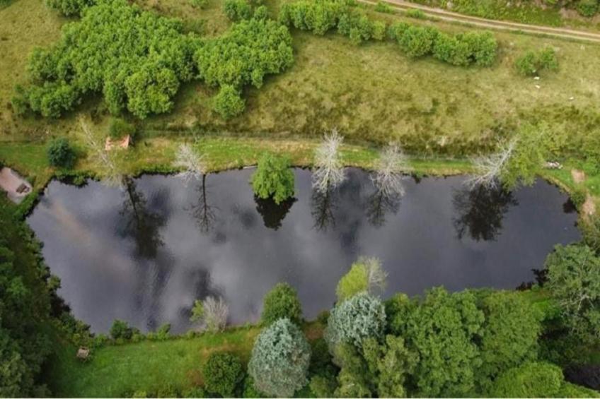 Le Nid du Crâ - foto 36