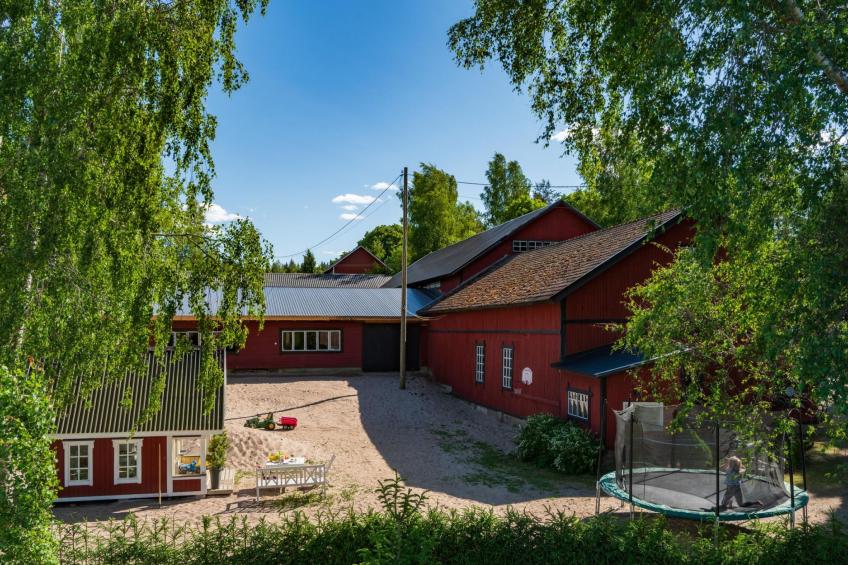 Sepelkyyhky, seeteri - foto 33