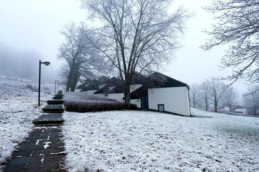 Comfort Eingang 6P - Basic - foto 27