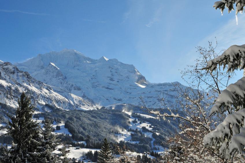 Lauber - foto 19