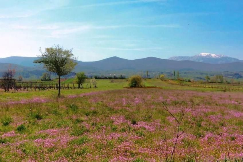 mit Whirlpool - foto 27