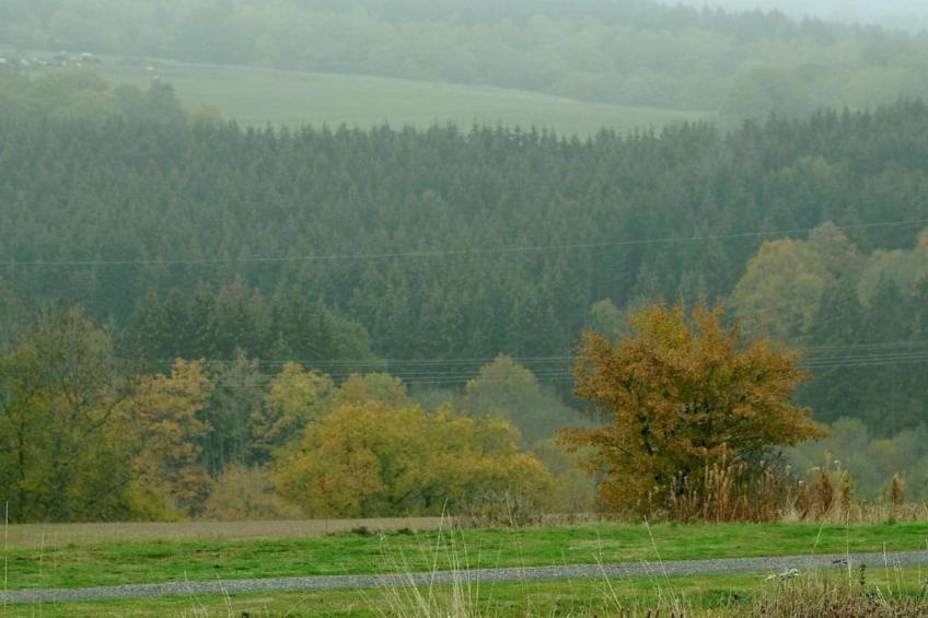 Waldferienpark Gerolstein 2 - foto 26