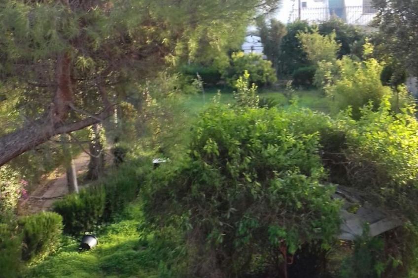 Villa Alma Wohnung in Villa - foto 24