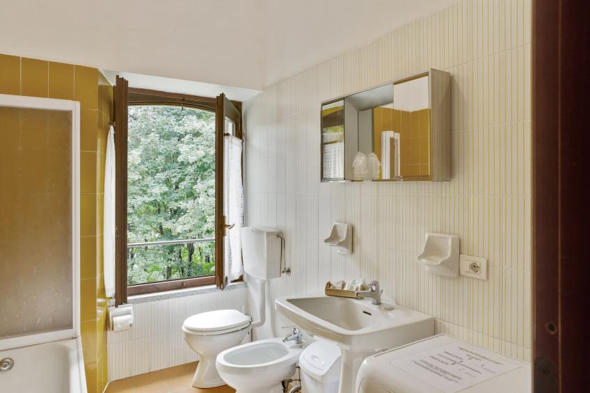 Rododendro - foto 18