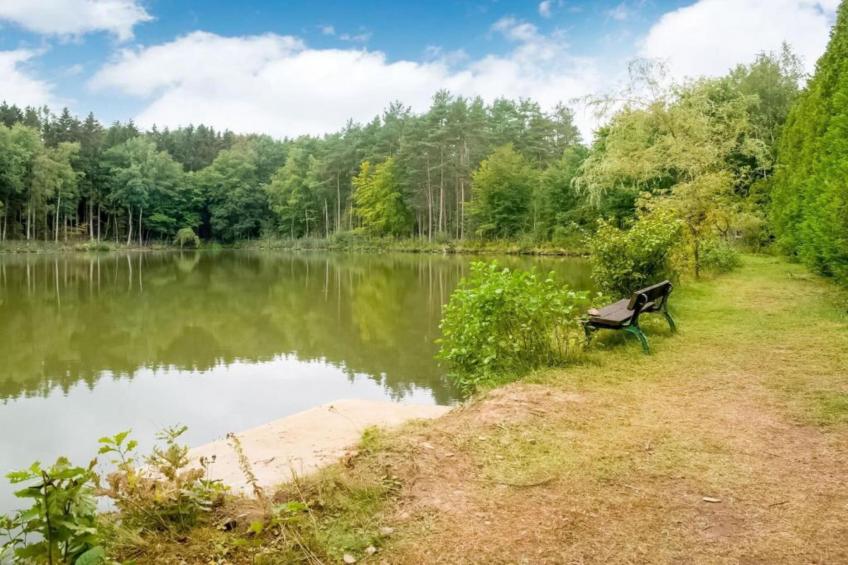 Le Bateau du Lac Privé - foto 31