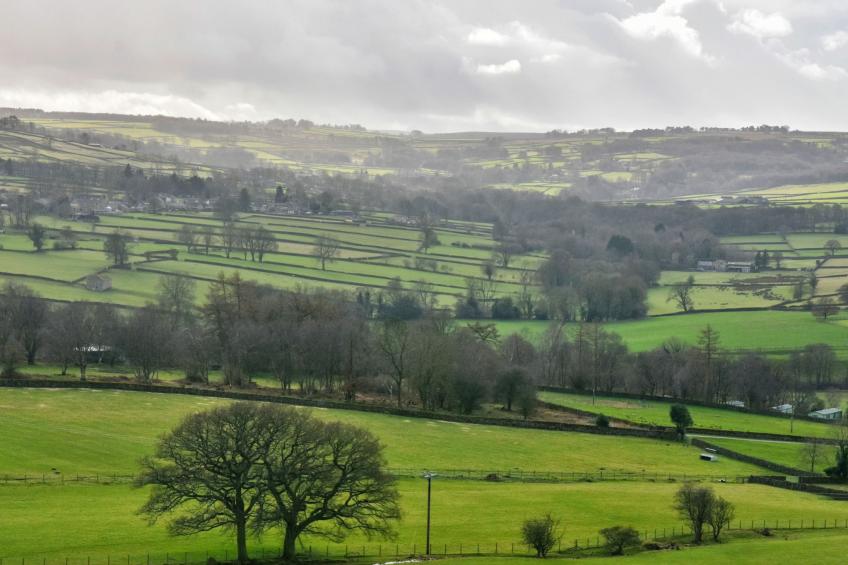 Heather Lea - foto 3