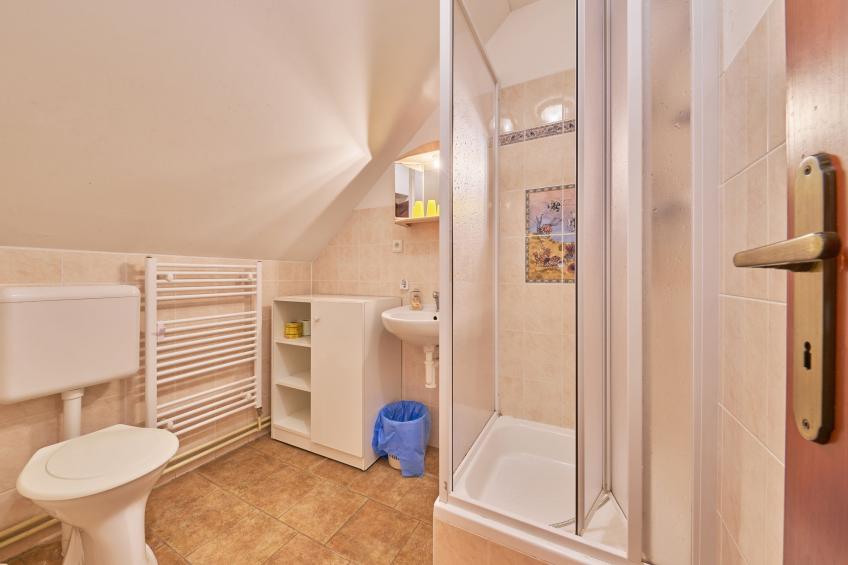 Haus Kaprasova II (ULJ110) - foto 27