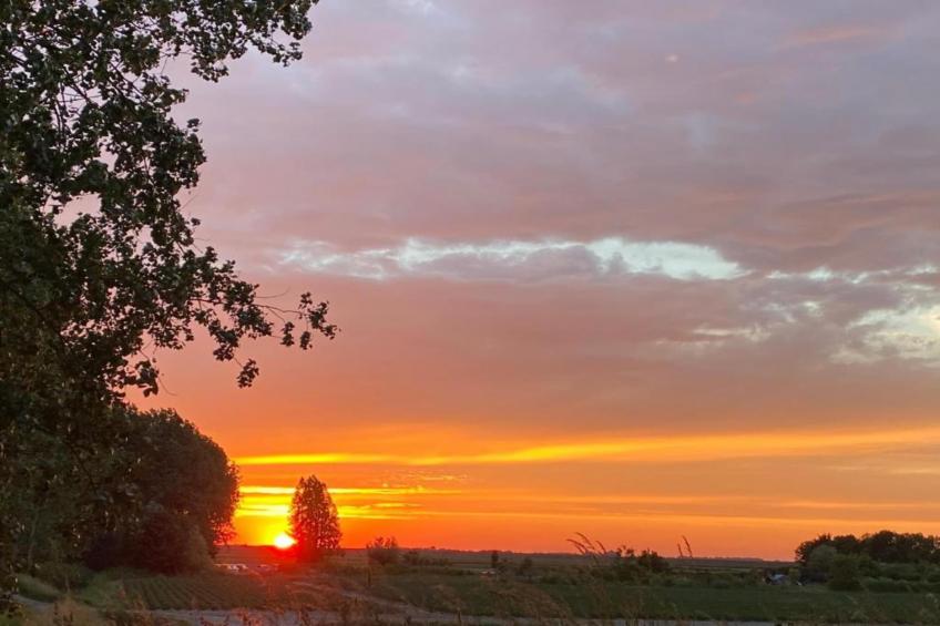 De Meerkoet - foto 34