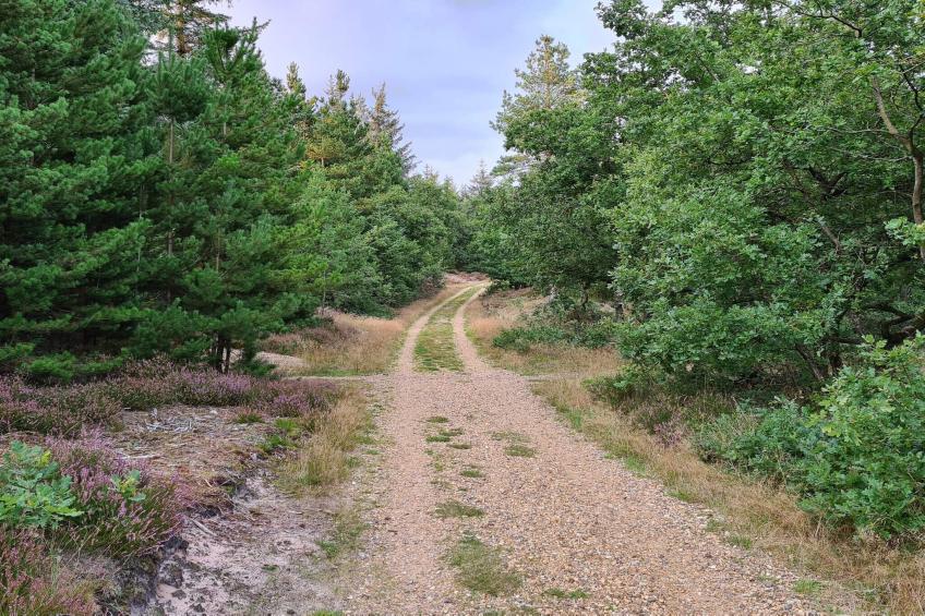 MOTEL UDSIGTEN - foto 18