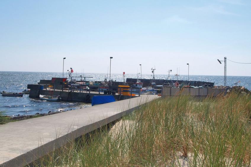 "Raica" - 300m from the sea in Bornholm - foto 20