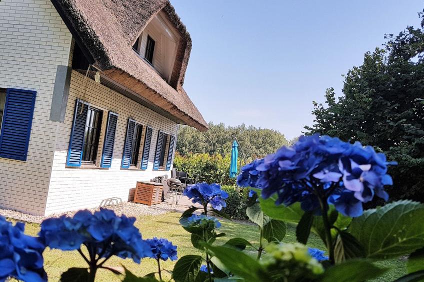 Haus-Zauberblau - foto 34