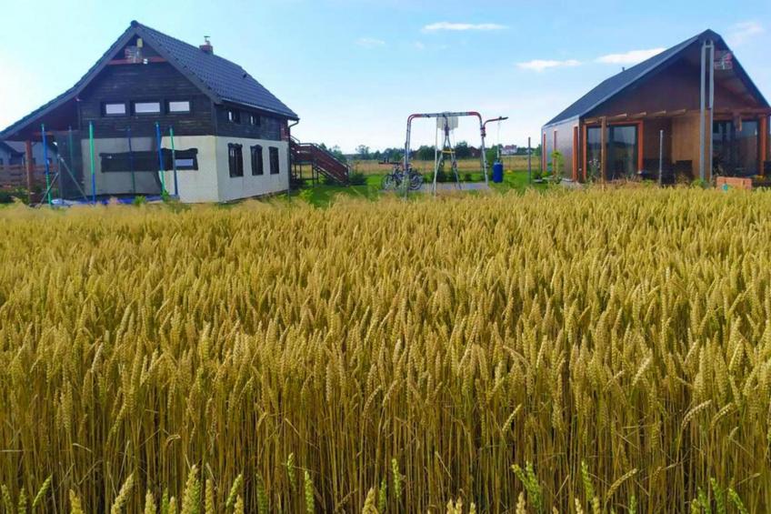 Semi-detached house, Jezierzany| - foto 14