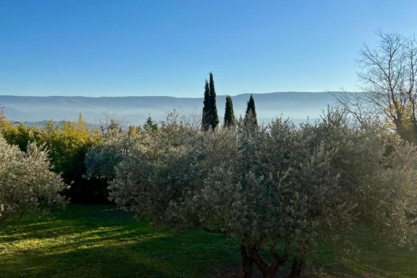 La Bastide des Chênes - foto 37